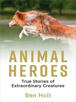 cover image of Animal Heroes